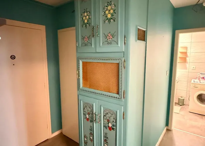 Appartement Petit Paradis 74 Grand Rue Colmar