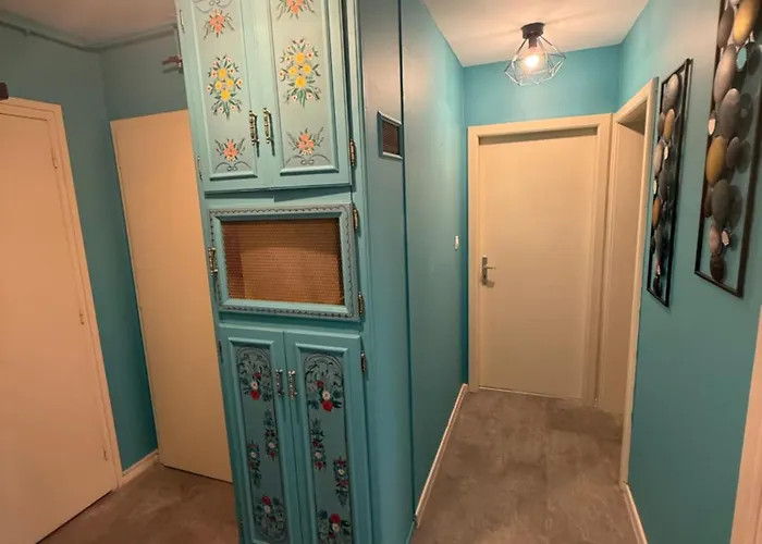 Appartement Petit Paradis 74 Grand Rue Colmar